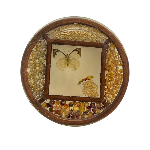 Vintage Pressed Flower Butterfly Seed Bean Corn Round Lucite Hotplate Trivet - Picture 1 of 8